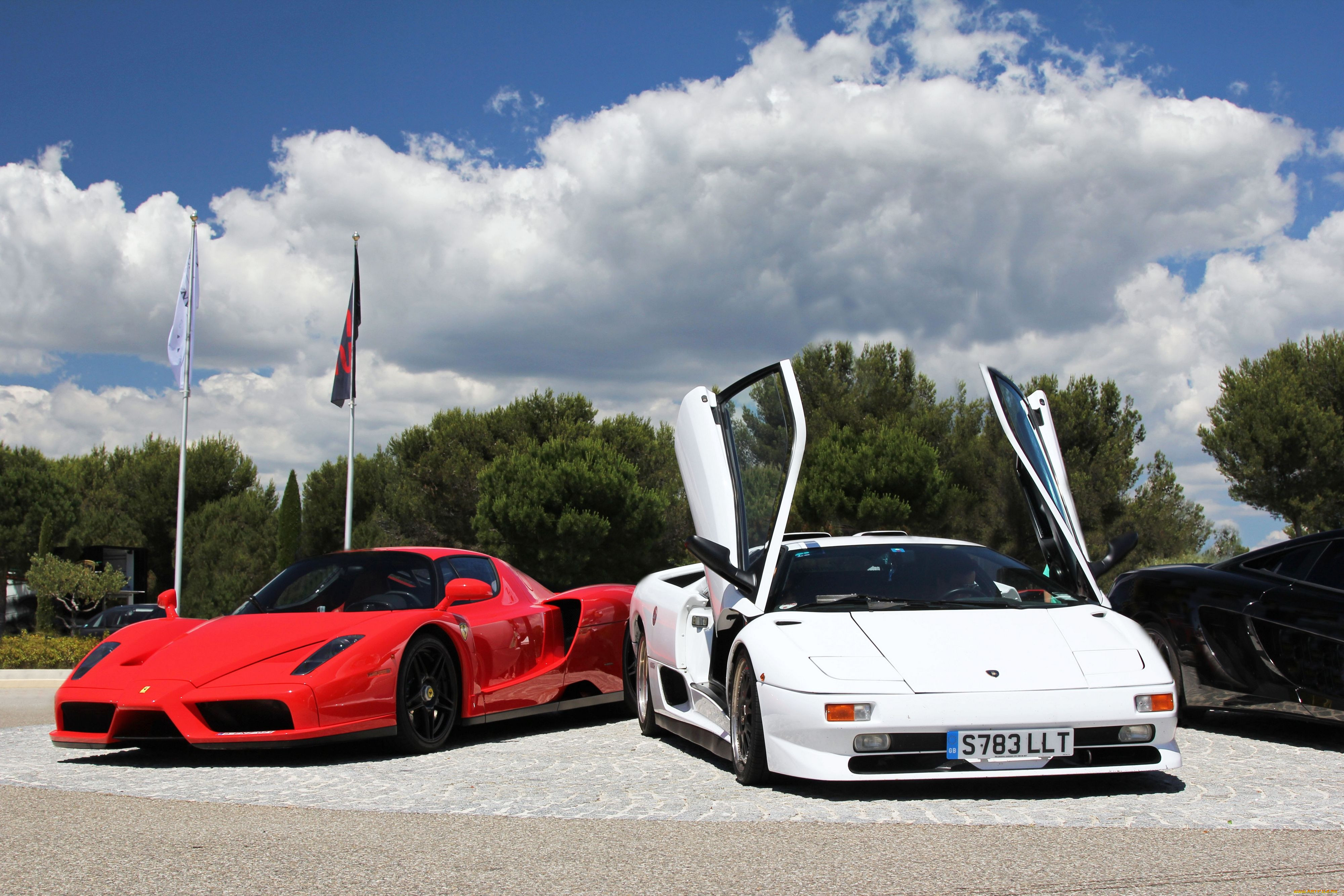 , , , ferrari, enzo, lamborghini